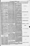 Blandford and Wimborne Telegram Friday 18 February 1881 Page 7