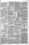 Blandford and Wimborne Telegram Friday 18 February 1881 Page 11