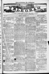 Blandford and Wimborne Telegram Friday 11 March 1881 Page 1
