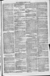 Blandford and Wimborne Telegram Friday 11 March 1881 Page 5