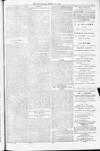 Blandford and Wimborne Telegram Friday 11 March 1881 Page 7