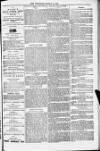 Blandford and Wimborne Telegram Friday 11 March 1881 Page 9