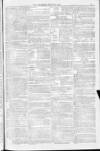 Blandford and Wimborne Telegram Friday 11 March 1881 Page 11