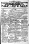 Blandford and Wimborne Telegram Friday 08 April 1881 Page 1