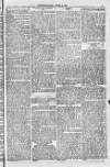 Blandford and Wimborne Telegram Friday 08 April 1881 Page 3