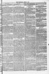 Blandford and Wimborne Telegram Friday 08 April 1881 Page 5