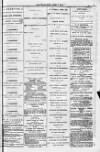 Blandford and Wimborne Telegram Friday 08 April 1881 Page 11