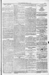 Blandford and Wimborne Telegram Friday 08 April 1881 Page 13