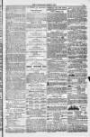 Blandford and Wimborne Telegram Friday 08 April 1881 Page 15