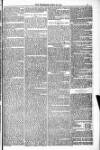 Blandford and Wimborne Telegram Friday 22 April 1881 Page 5