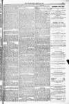 Blandford and Wimborne Telegram Friday 22 April 1881 Page 9