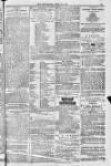 Blandford and Wimborne Telegram Friday 22 April 1881 Page 13