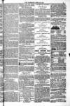 Blandford and Wimborne Telegram Friday 22 April 1881 Page 15
