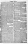 Blandford and Wimborne Telegram Friday 27 May 1881 Page 7