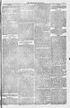 Blandford and Wimborne Telegram Friday 27 May 1881 Page 13