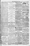 Blandford and Wimborne Telegram Friday 27 May 1881 Page 15