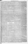 Blandford and Wimborne Telegram Friday 10 June 1881 Page 5