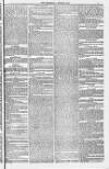 Blandford and Wimborne Telegram Friday 10 June 1881 Page 7