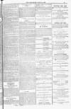 Blandford and Wimborne Telegram Friday 10 June 1881 Page 9