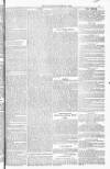 Blandford and Wimborne Telegram Friday 10 June 1881 Page 13