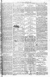 Blandford and Wimborne Telegram Friday 10 June 1881 Page 15