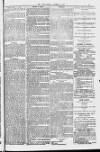 Blandford and Wimborne Telegram Friday 17 June 1881 Page 3
