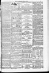Blandford and Wimborne Telegram Friday 17 June 1881 Page 15