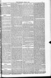 Blandford and Wimborne Telegram Friday 24 June 1881 Page 5