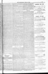 Blandford and Wimborne Telegram Friday 24 June 1881 Page 9