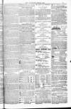 Blandford and Wimborne Telegram Friday 24 June 1881 Page 15