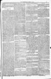 Blandford and Wimborne Telegram Friday 01 July 1881 Page 13