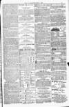 Blandford and Wimborne Telegram Friday 01 July 1881 Page 15