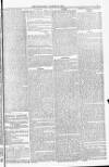 Blandford and Wimborne Telegram Friday 19 August 1881 Page 5