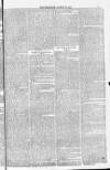 Blandford and Wimborne Telegram Friday 19 August 1881 Page 7