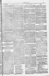 Blandford and Wimborne Telegram Friday 19 August 1881 Page 13