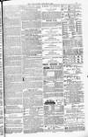 Blandford and Wimborne Telegram Friday 19 August 1881 Page 15