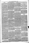 Blandford and Wimborne Telegram Friday 04 November 1881 Page 3