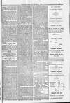 Blandford and Wimborne Telegram Friday 04 November 1881 Page 9