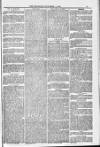 Blandford and Wimborne Telegram Friday 04 November 1881 Page 13