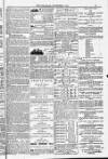 Blandford and Wimborne Telegram Friday 04 November 1881 Page 15