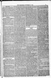 Blandford and Wimborne Telegram Friday 11 November 1881 Page 5