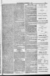 Blandford and Wimborne Telegram Friday 11 November 1881 Page 9