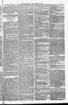 Blandford and Wimborne Telegram Friday 11 November 1881 Page 13