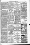 Blandford and Wimborne Telegram Friday 11 November 1881 Page 15