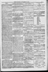 Blandford and Wimborne Telegram Friday 18 November 1881 Page 3