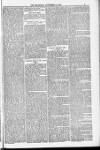 Blandford and Wimborne Telegram Friday 18 November 1881 Page 5
