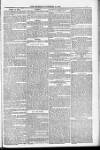 Blandford and Wimborne Telegram Friday 18 November 1881 Page 7