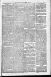 Blandford and Wimborne Telegram Friday 18 November 1881 Page 13