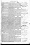 Blandford and Wimborne Telegram Friday 06 January 1882 Page 9