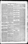 Blandford and Wimborne Telegram Friday 13 January 1882 Page 7